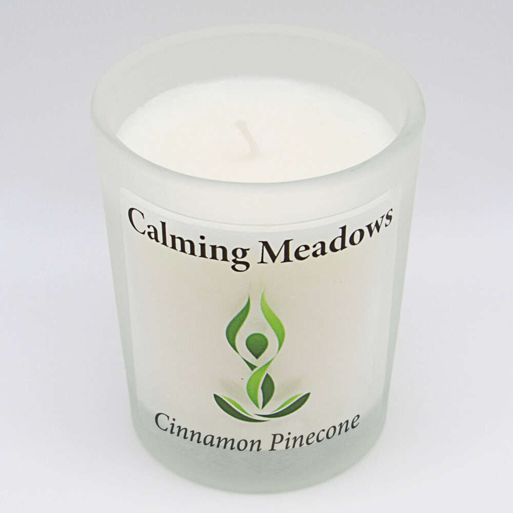 Cinnamon Pinecone scented soy candle 2 oz