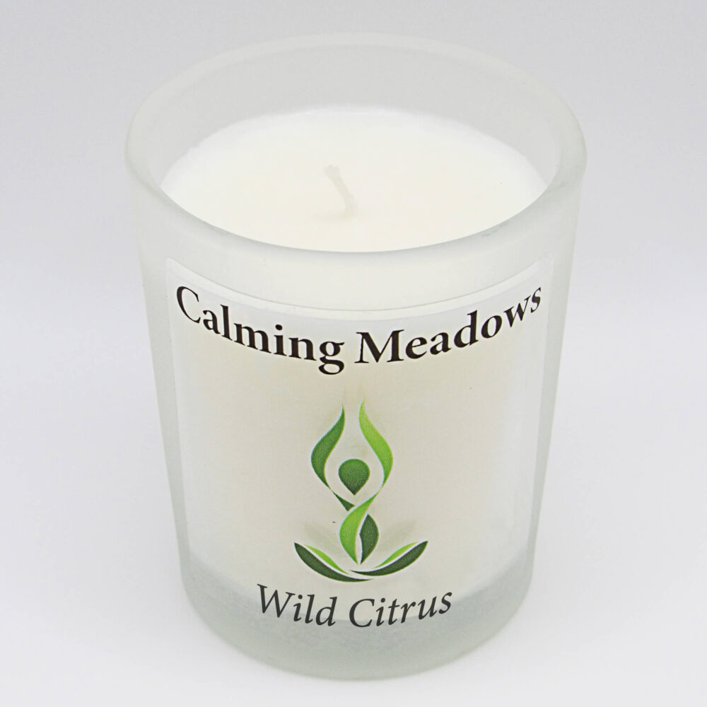 Wild Citrus scented soy candle 2 oz